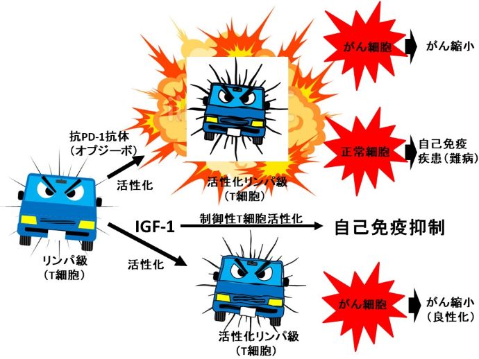 円形脱毛症　病院